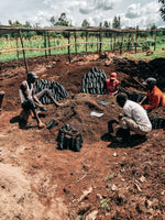Kericho County AA — Kenyan Decaf