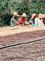 Bekele Balaycho Natural