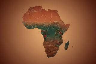 Kupenda Coffee East Africa Hero Banner